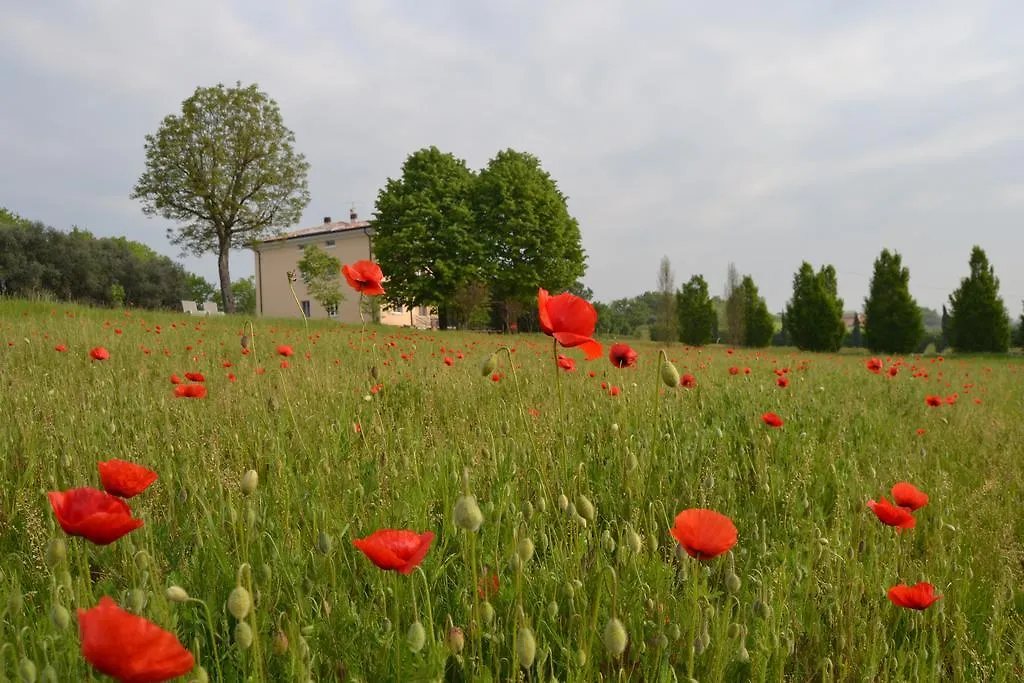 Agriturismo Olistico Atman Monzambano