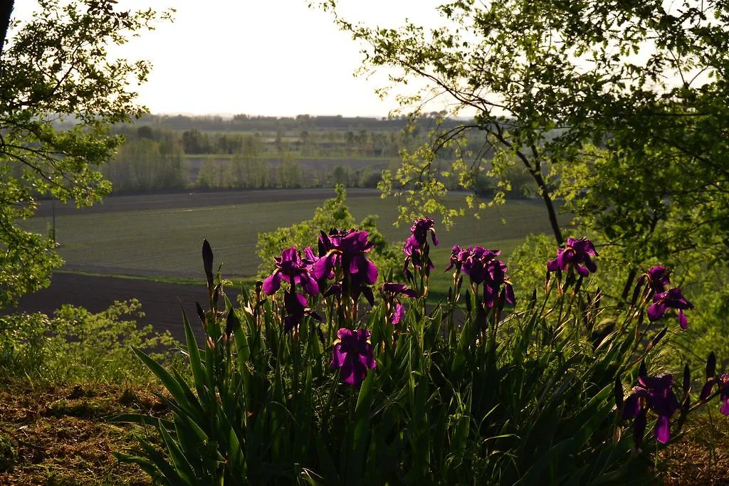 Agriturismo Olistico Atman Monzambano Italien