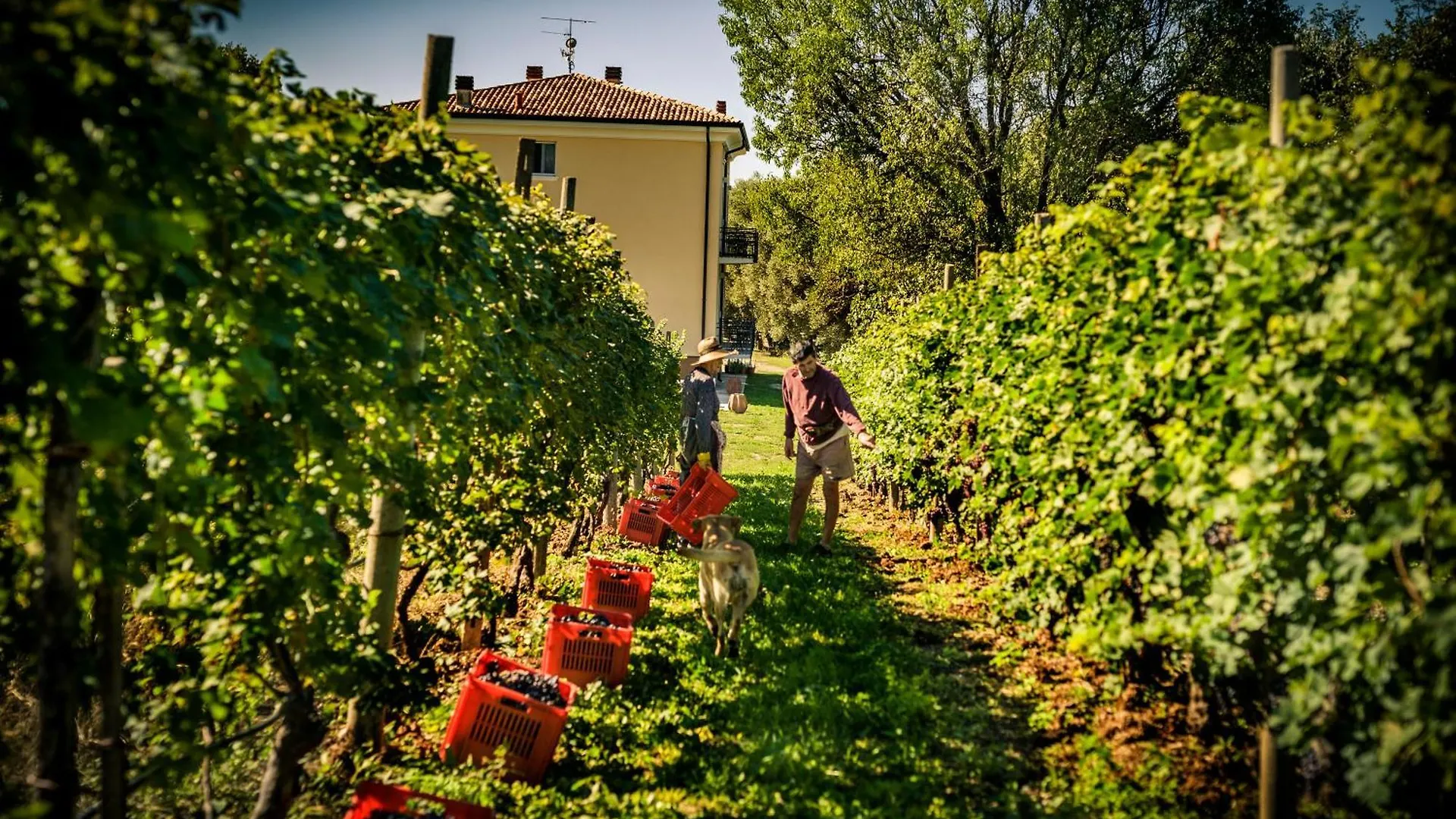 Agriturismo Olistico Atman Monzambano