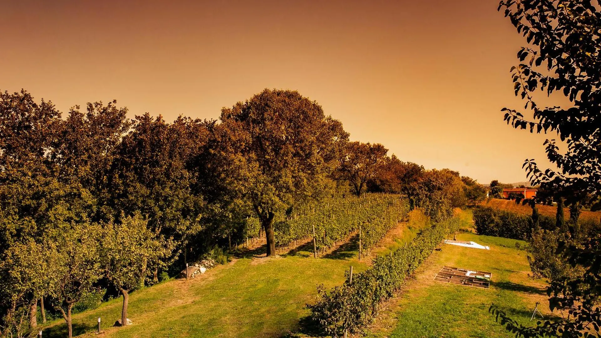 Farm stay Agriturismo Olistico Atman Monzambano