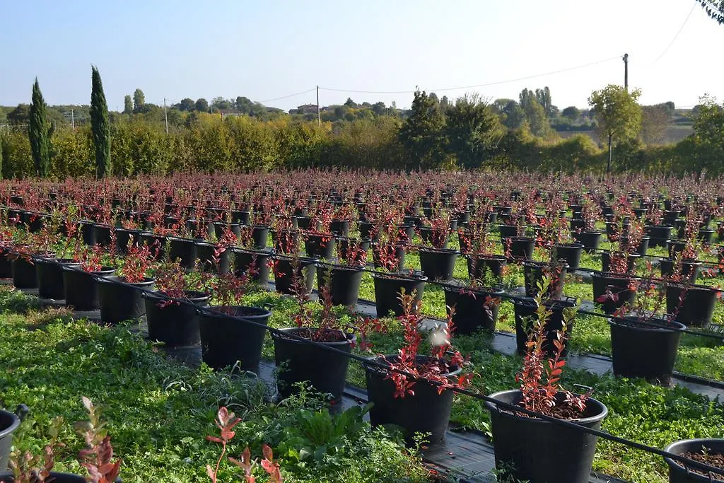 Agriturismo Olistico Atman Monzambano Farm stay