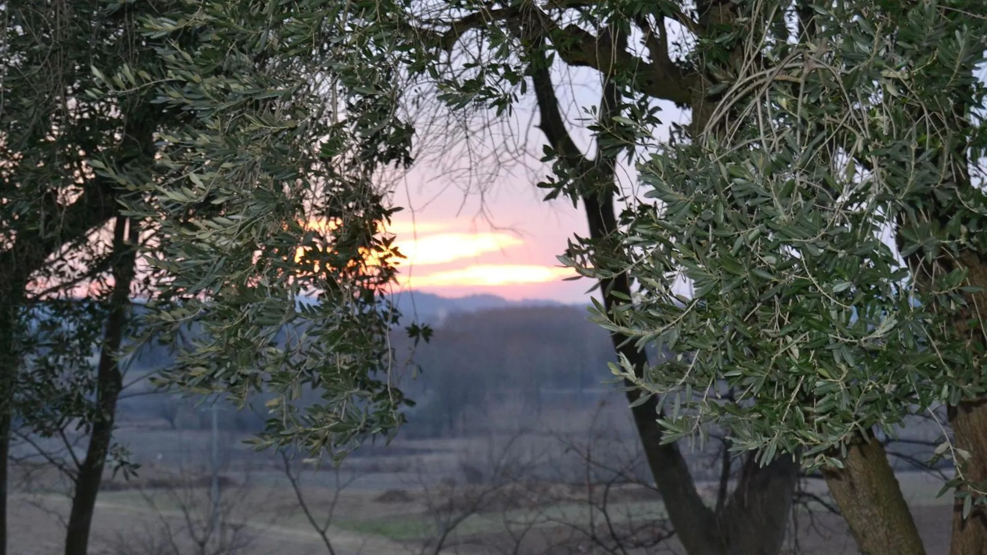 Farm stay Agriturismo Olistico Atman Monzambano