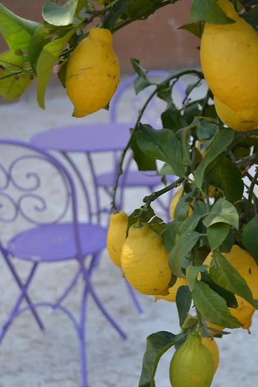 Agriturismo Olistico Atman Monzambano