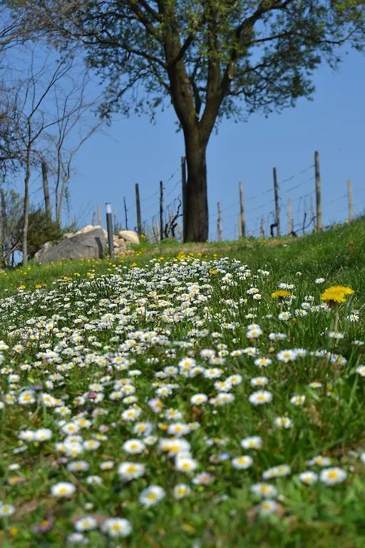 Agriturismo Olistico Atman Monzambano 0*,